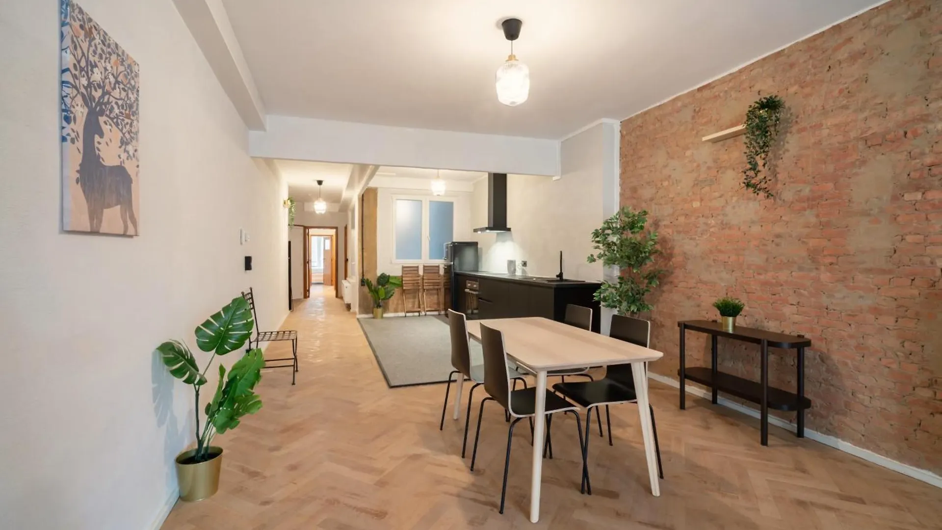 Charming And Spacious Apartments In The Heart Of Antwerp