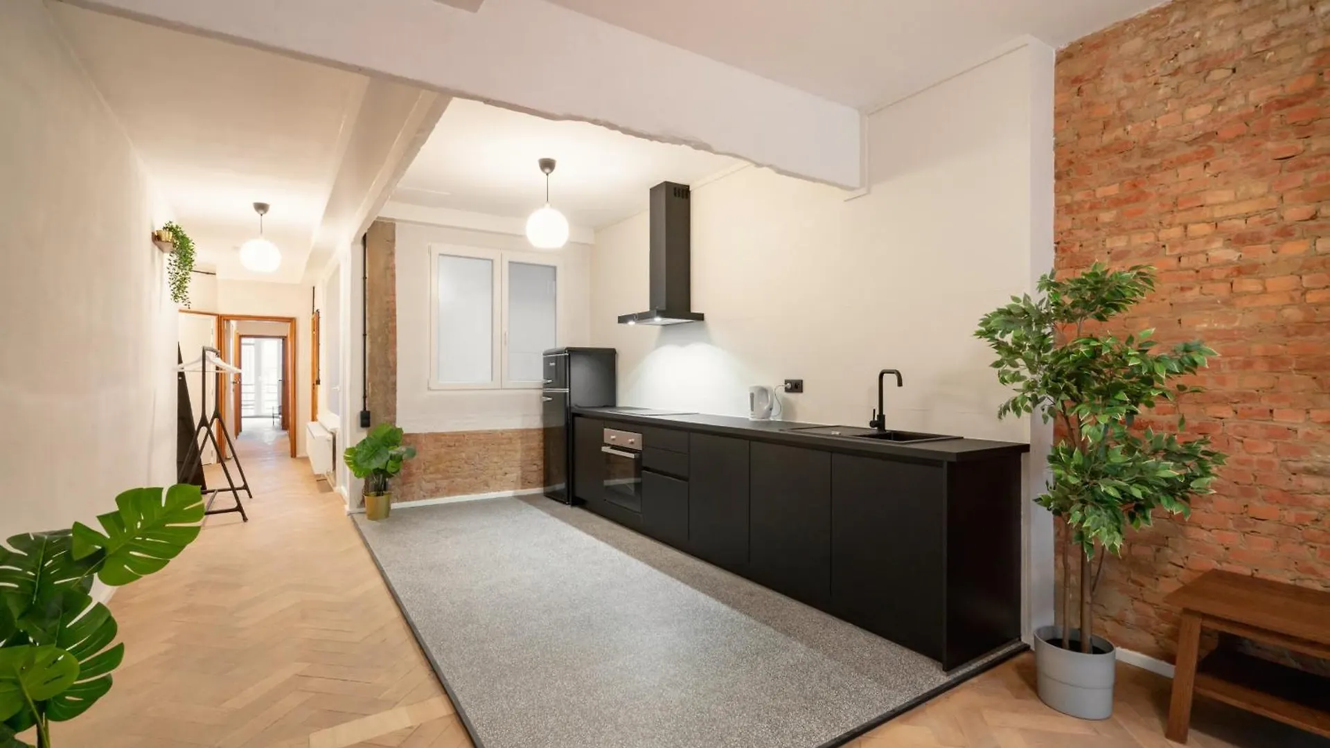 Charming And Spacious Apartments In The Heart Of Antwerp